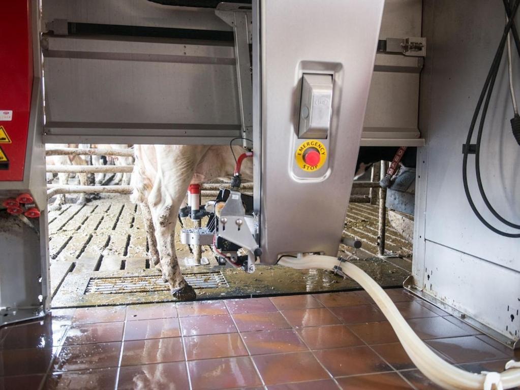 Ferienwohnung Sonnenaufgangsgenuss Harriersand Schwanewede Buitenkant foto