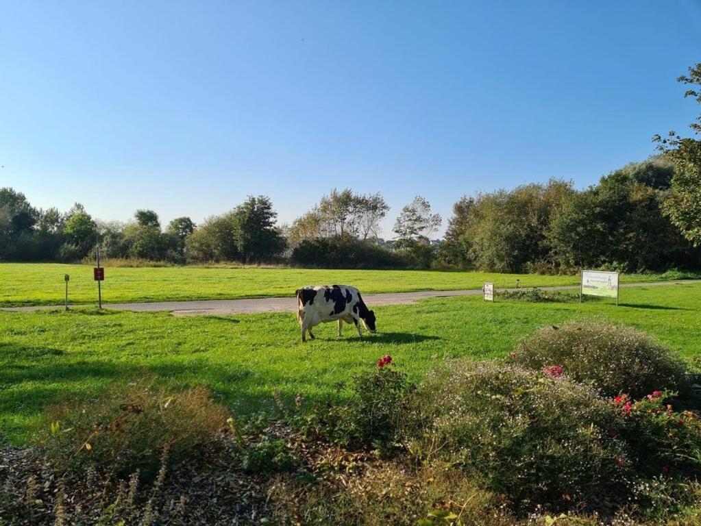 Ferienwohnung Sonnenaufgangsgenuss Harriersand Schwanewede Buitenkant foto