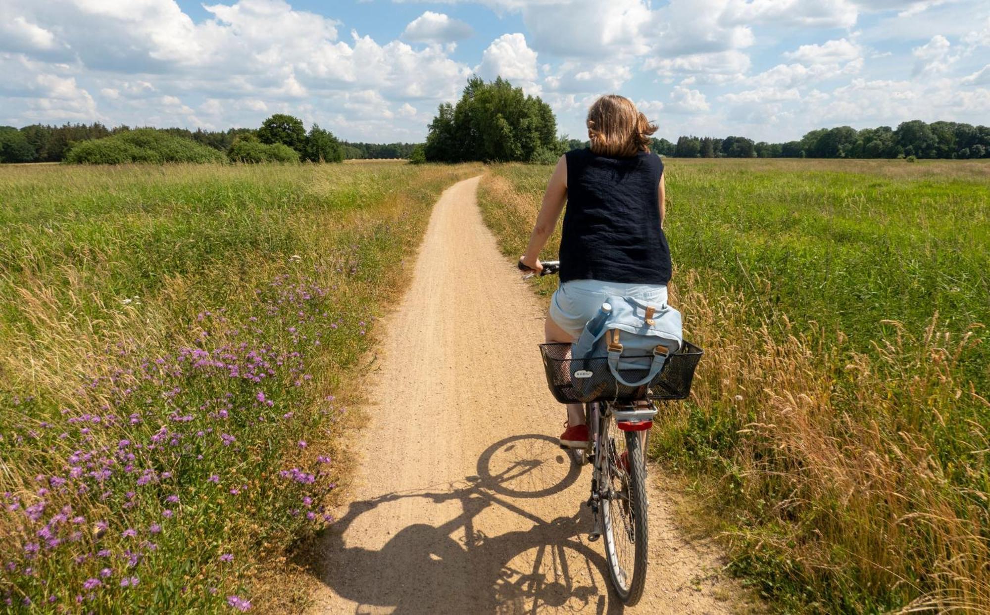 Ferienwohnung Sonnenaufgangsgenuss Harriersand Schwanewede Buitenkant foto
